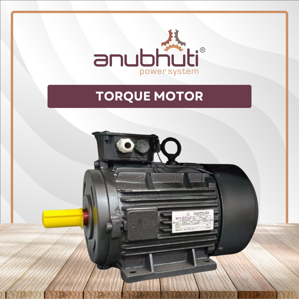 TORQUE MOTOR (3)